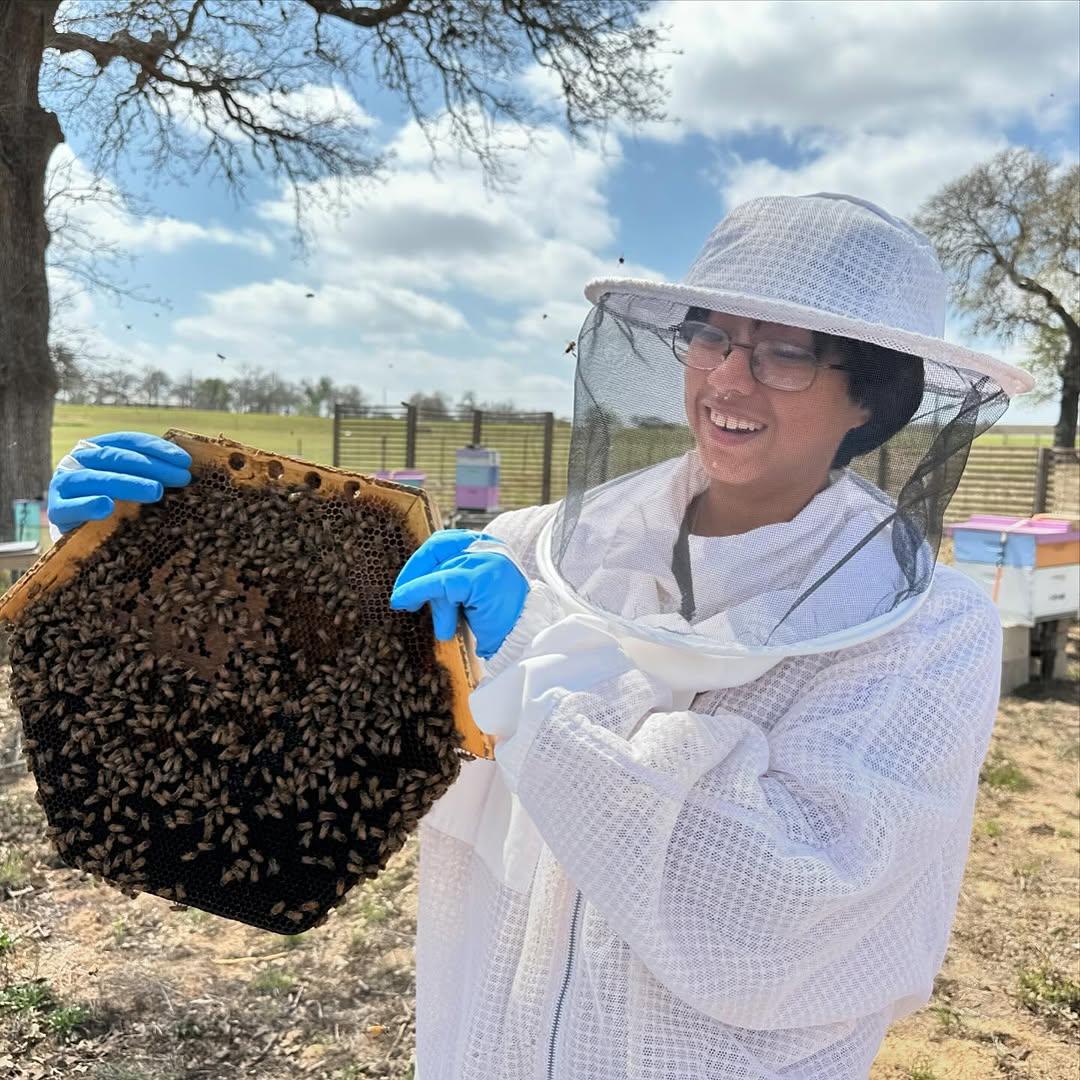 Hive Tours - 487844340 17909064063100234 5634325065488159409 n