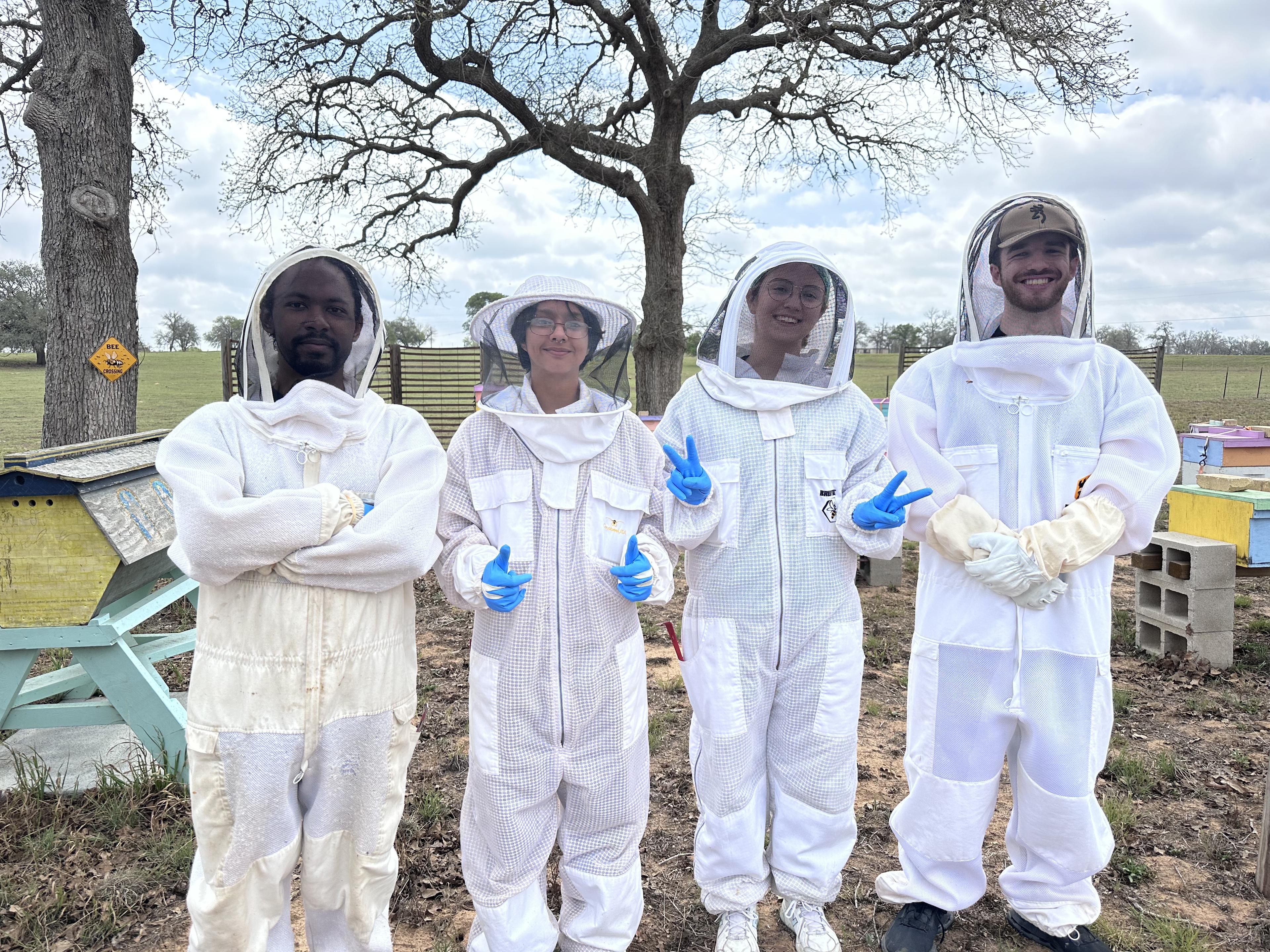 Hive Tours - IMG 3018