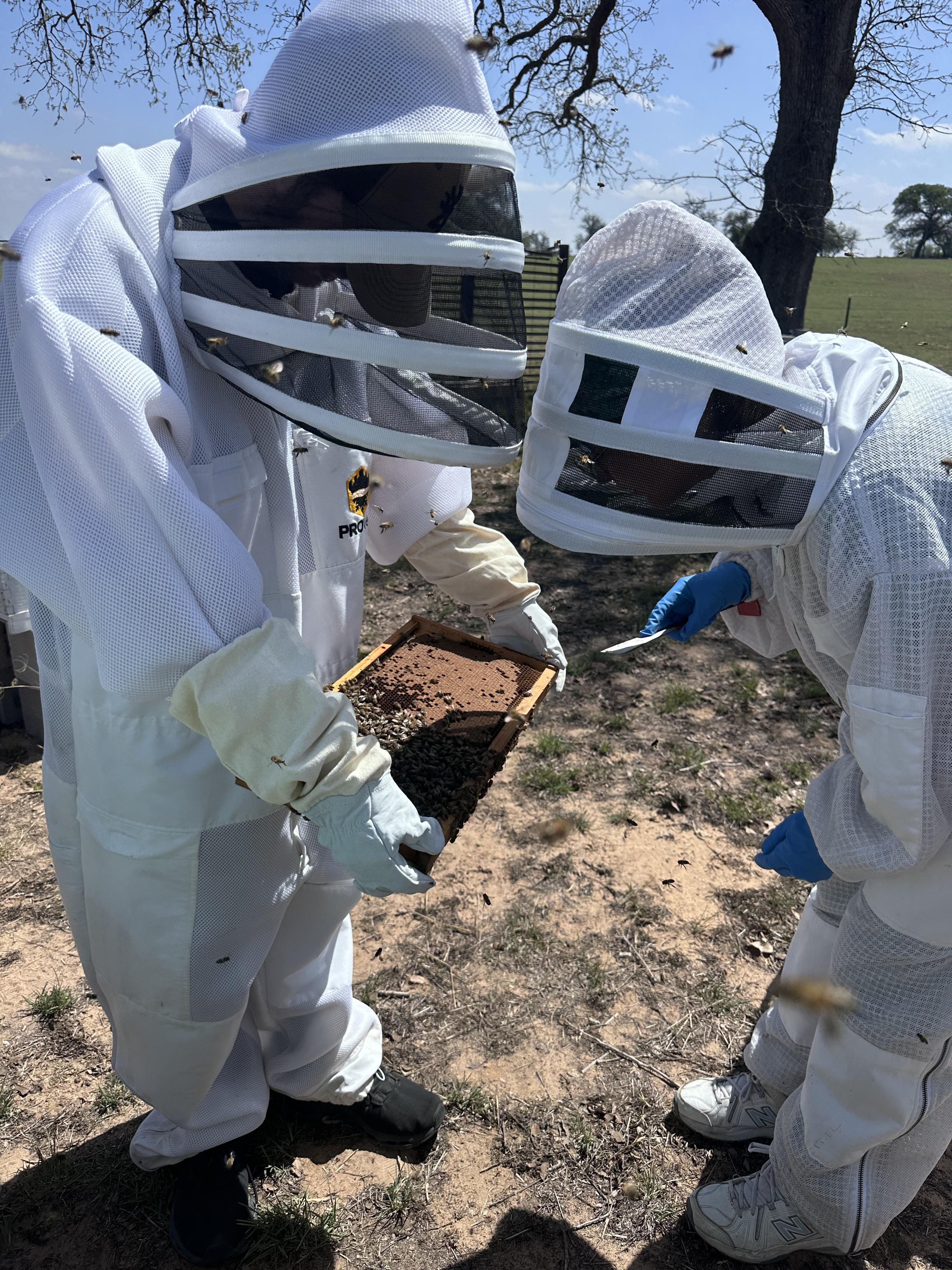 Hive Tours - IMG 3026