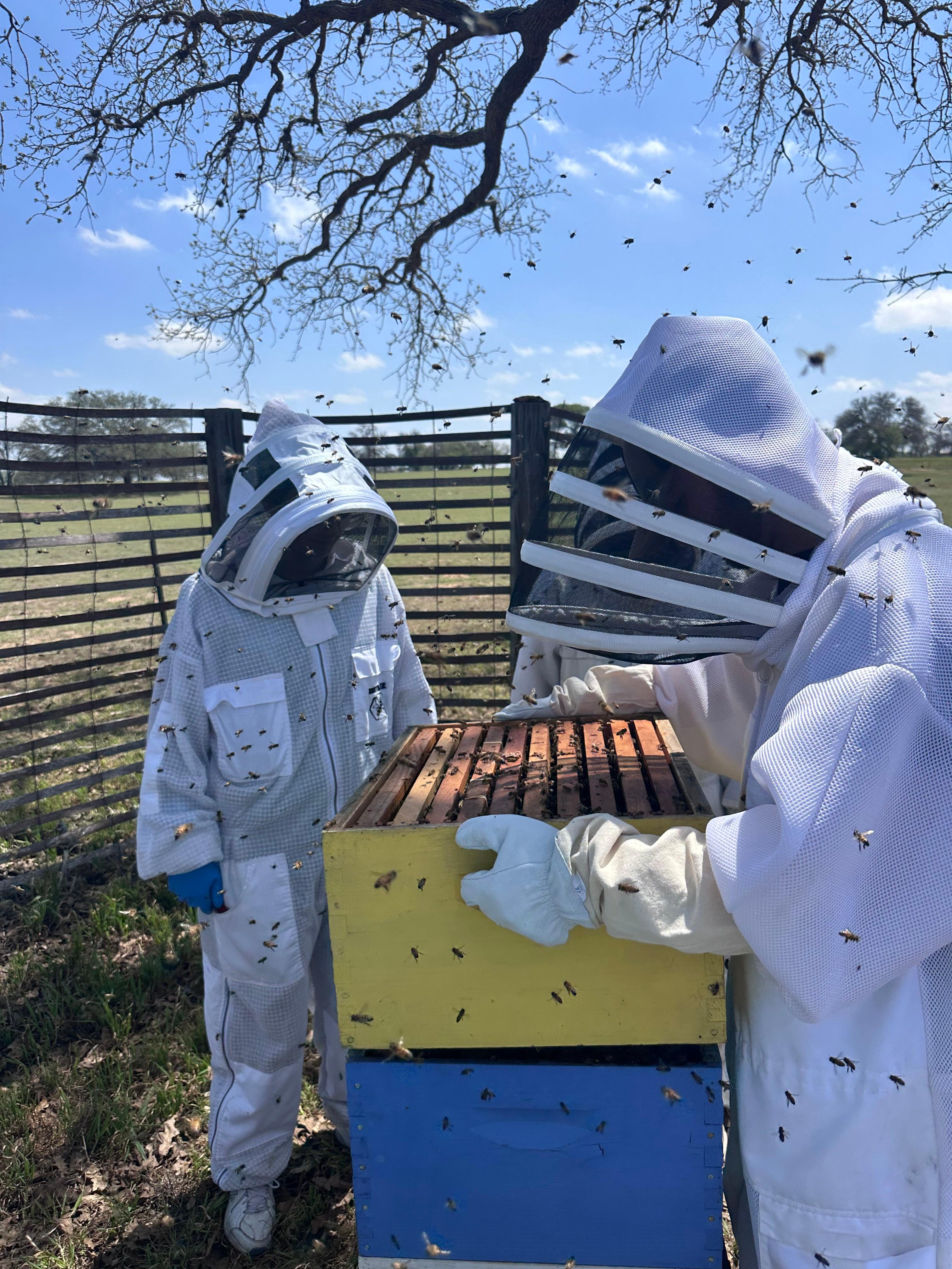 Hive Tours - IMG 3030