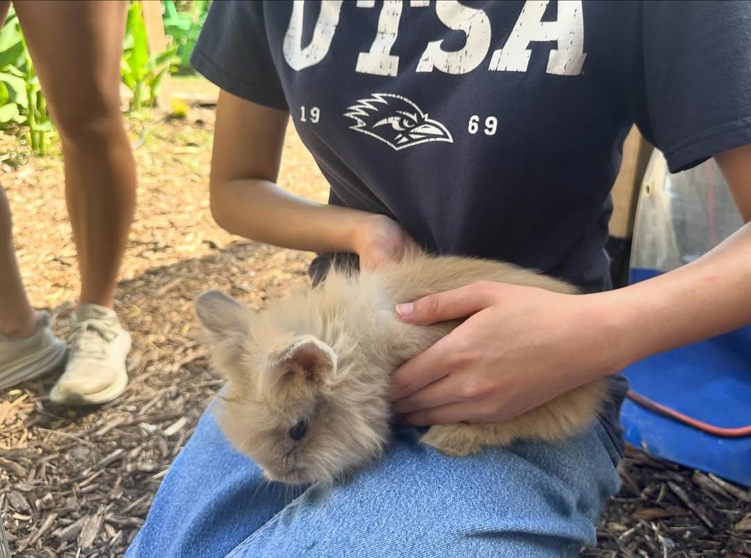 Volunteer - 490511242 17910167907100234 2705975506661151385 n